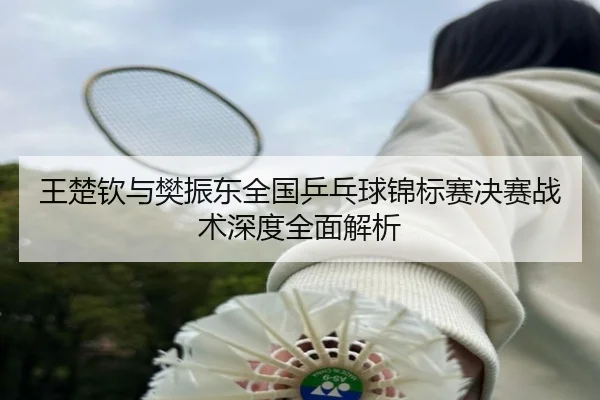 王楚钦与樊振东全国乒乓球锦标赛决赛战术深度全面解析 - JIUYOU